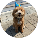 Joy S profile picture