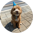 Joy S profile picture